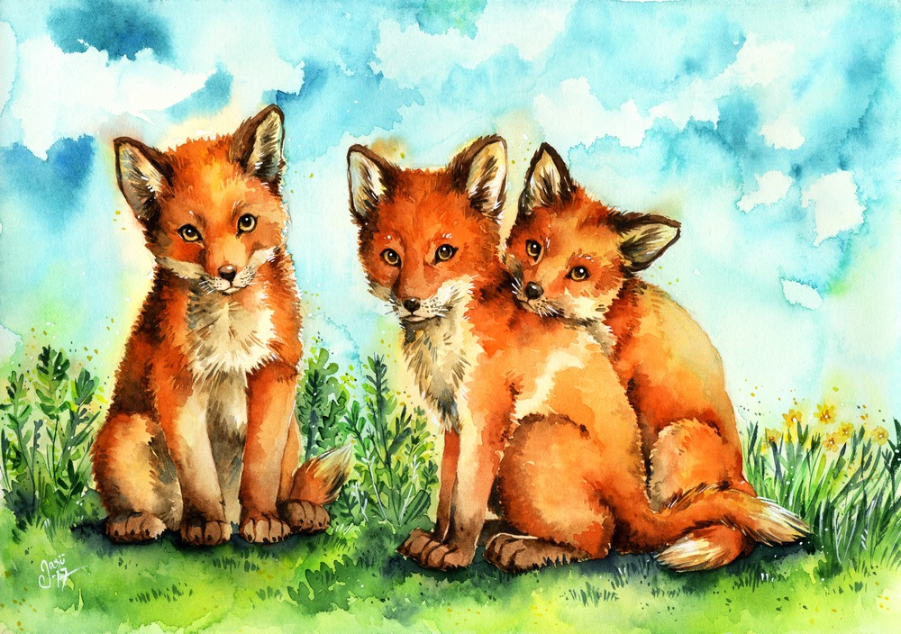 Print - Fox Pups